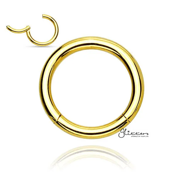 18 Gauge Hinged Stainless Steel Segment Hoop Rings-Silver | Gold | Black | Rose Gold