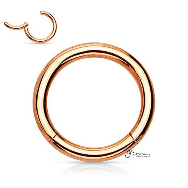 18 Gauge Hinged Stainless Steel Segment Hoop Rings-Silver | Gold | Black | Rose Gold