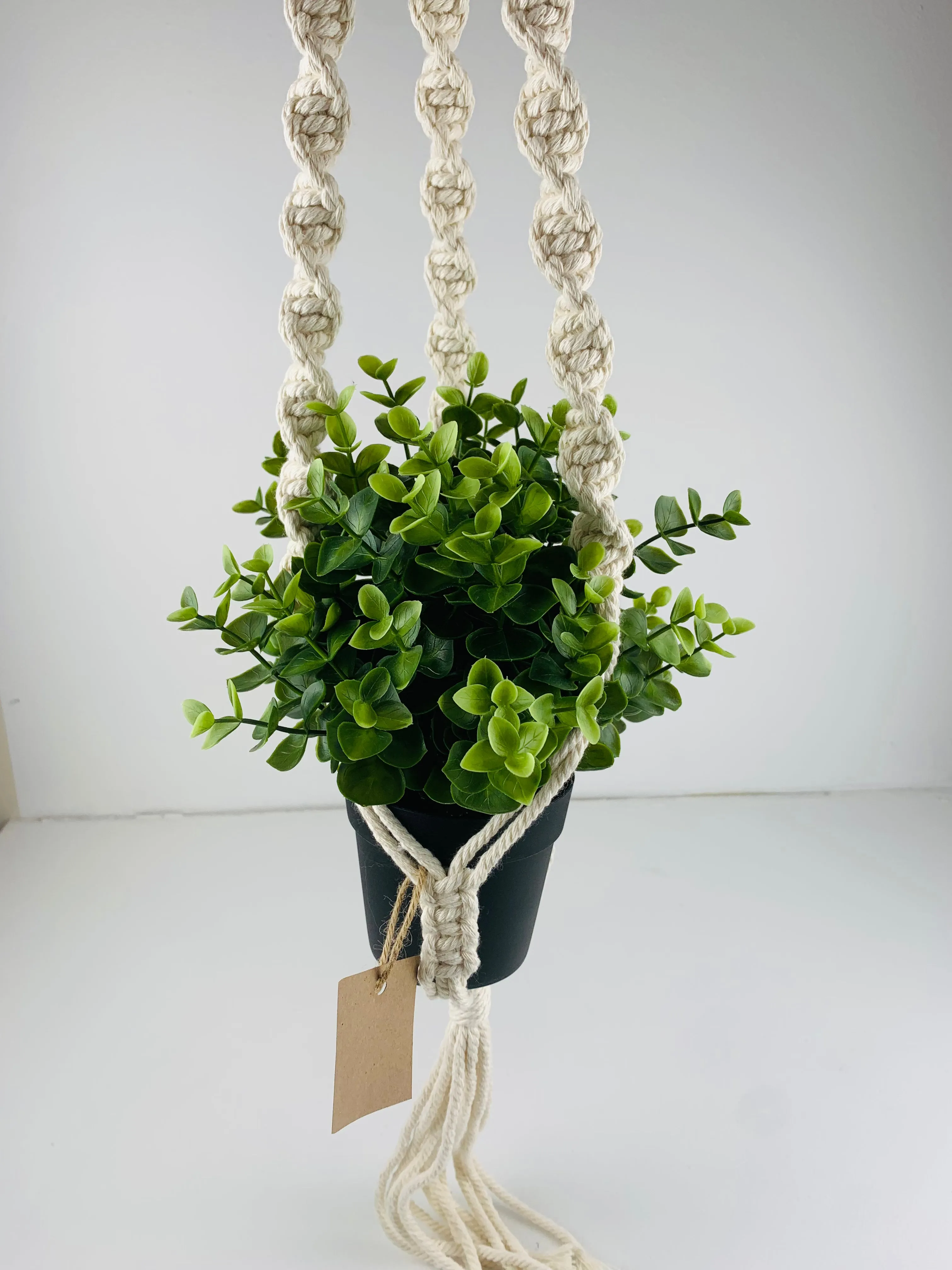 3-Thirty Design Co. Macrame Plant Hangers