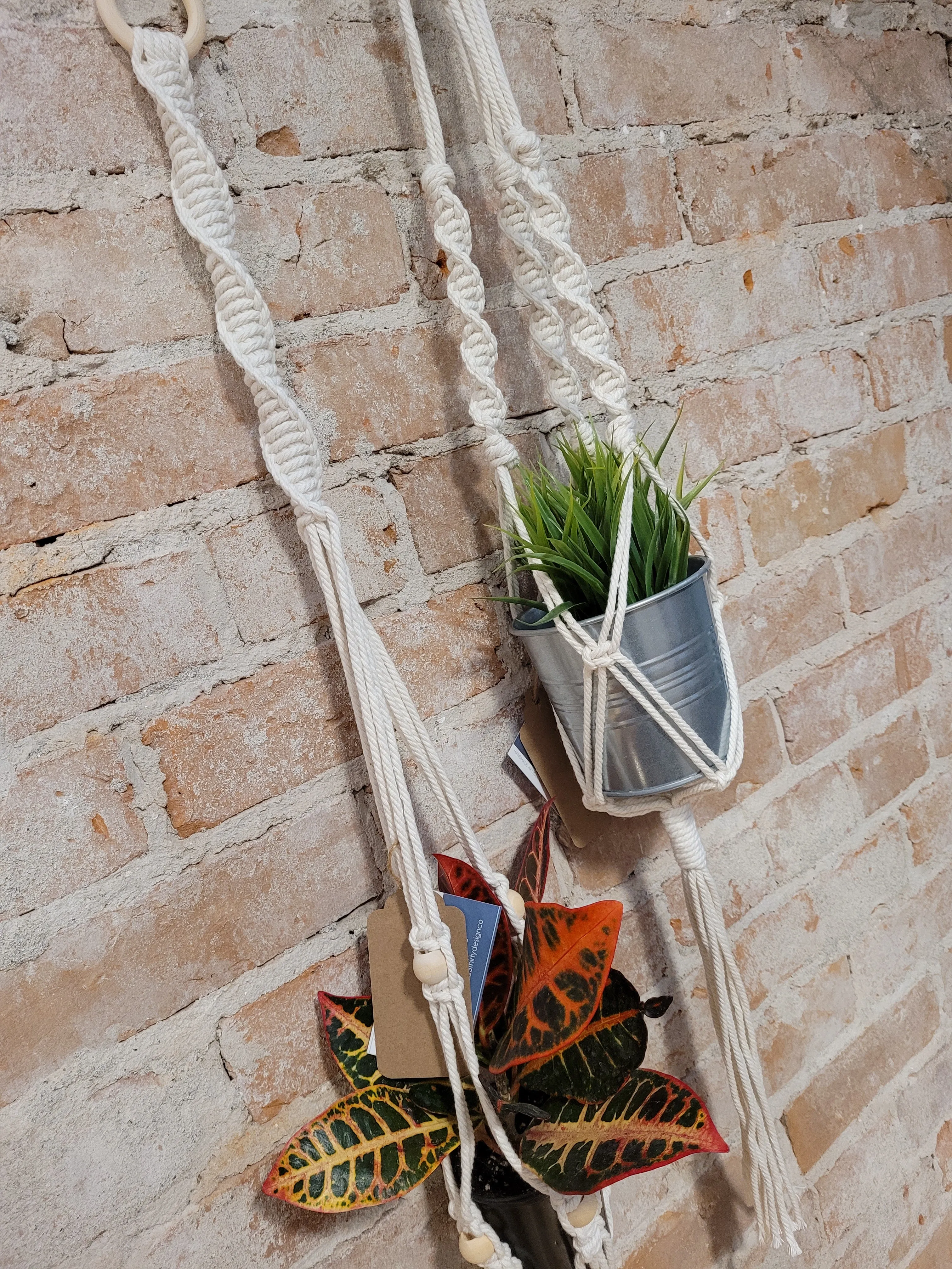 3-Thirty Design Co. Macrame Plant Hangers