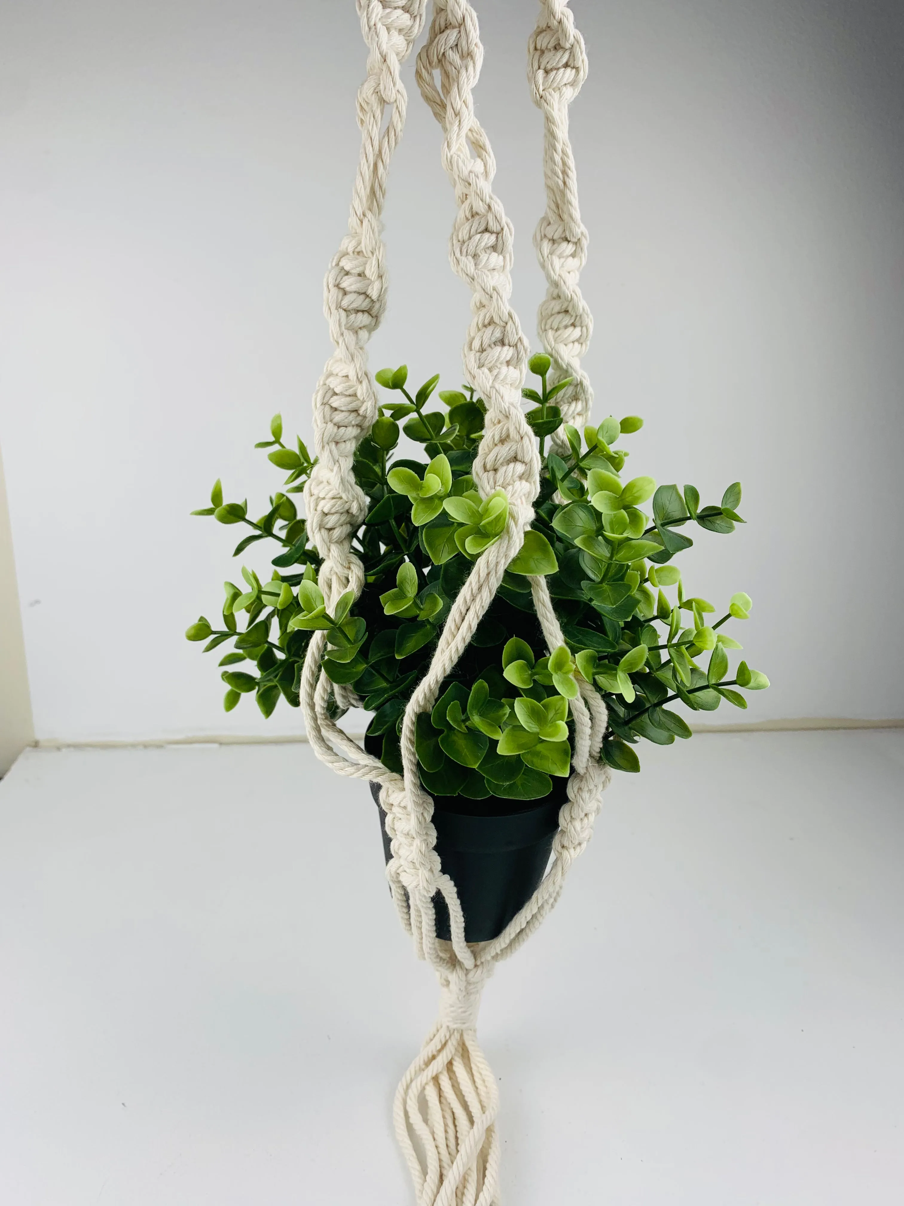 3-Thirty Design Co. Macrame Plant Hangers