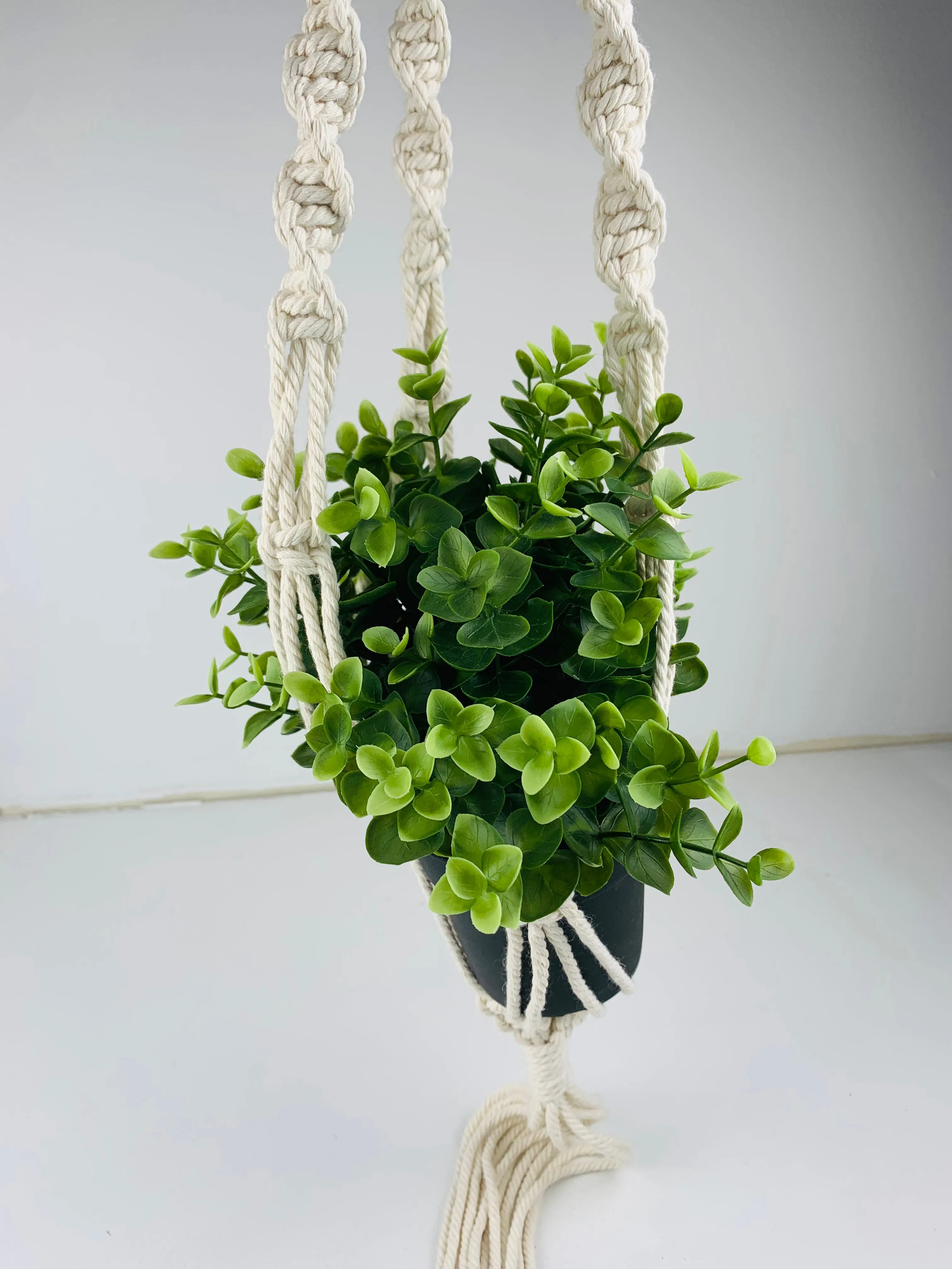 3-Thirty Design Co. Macrame Plant Hangers