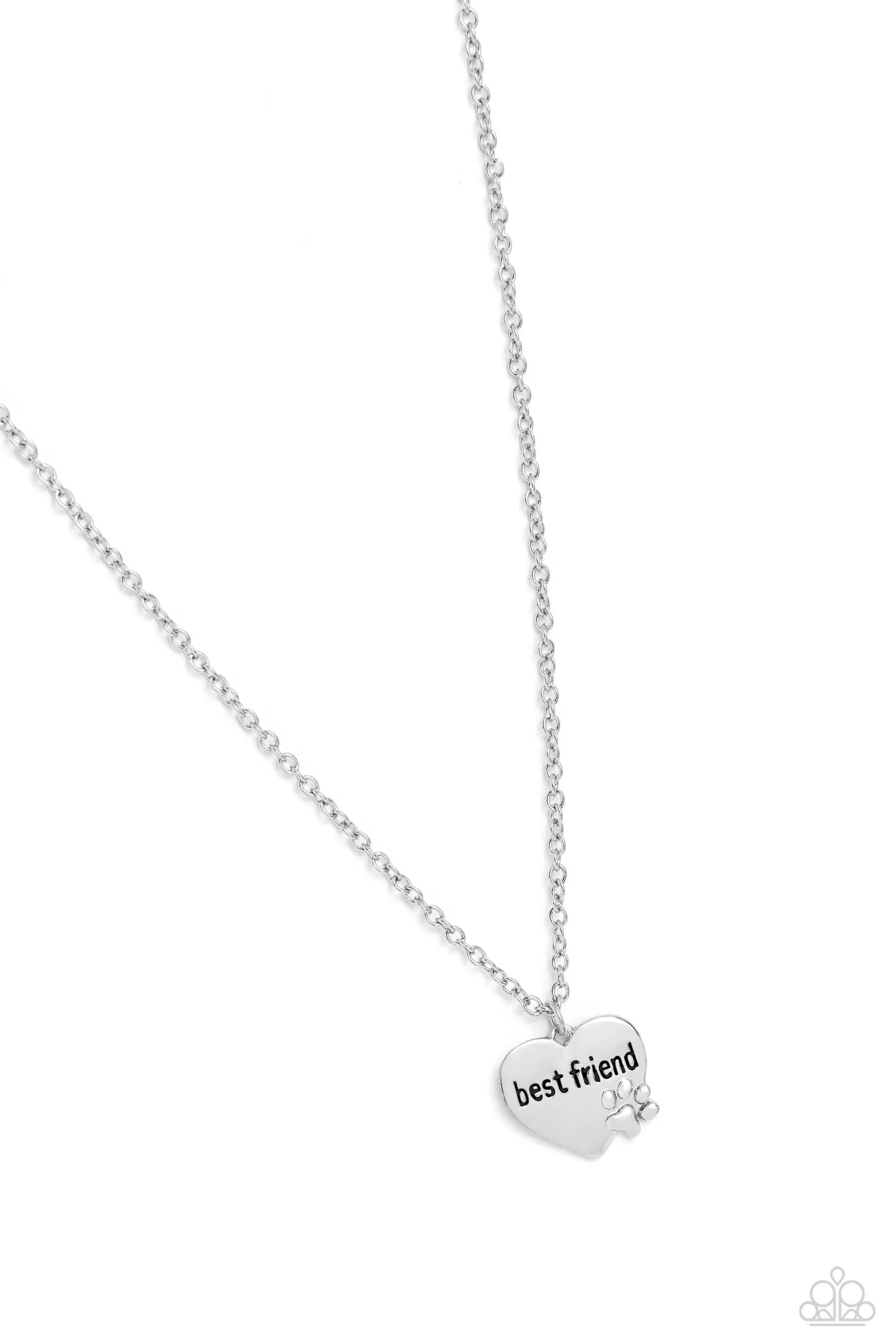 Paparazzi Mans Best Friend Silver Necklace & Earring Set